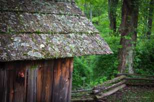 The Roof-8916.jpg The Roof-8916.jpg